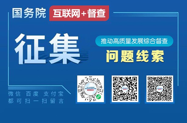 推动高质量发展综合督察