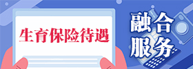 生育保险待遇融合服务