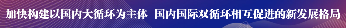 加快构建以国内大循环为主体 国内国际双循环相互促进的新发展格局