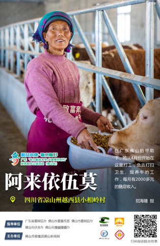 养好牛，过上牛日子