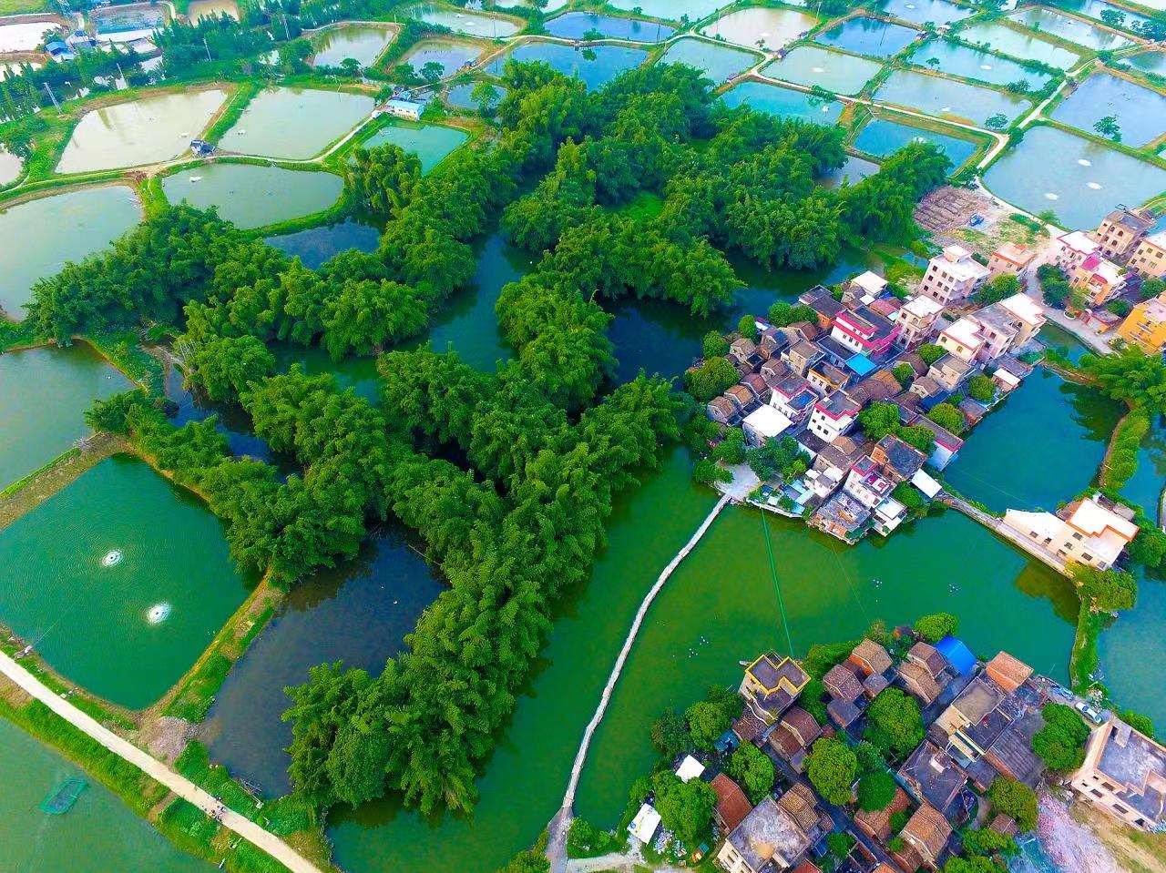 金沙娱乐城
璜矶村 金沙娱乐城
文化广电旅游体育局供图.jpeg