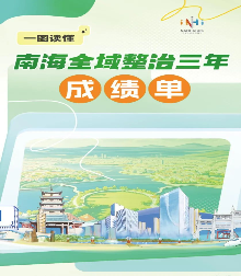 蹚出城乡融合高质量发展新路！一图读懂南海“全域整治”三年成绩单