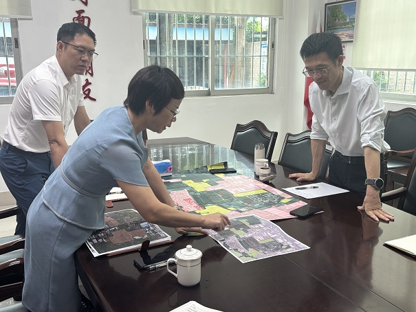 2025-06-27党组书记、局长伍志强调研里水镇赤山村“百千万工程”01.jpg