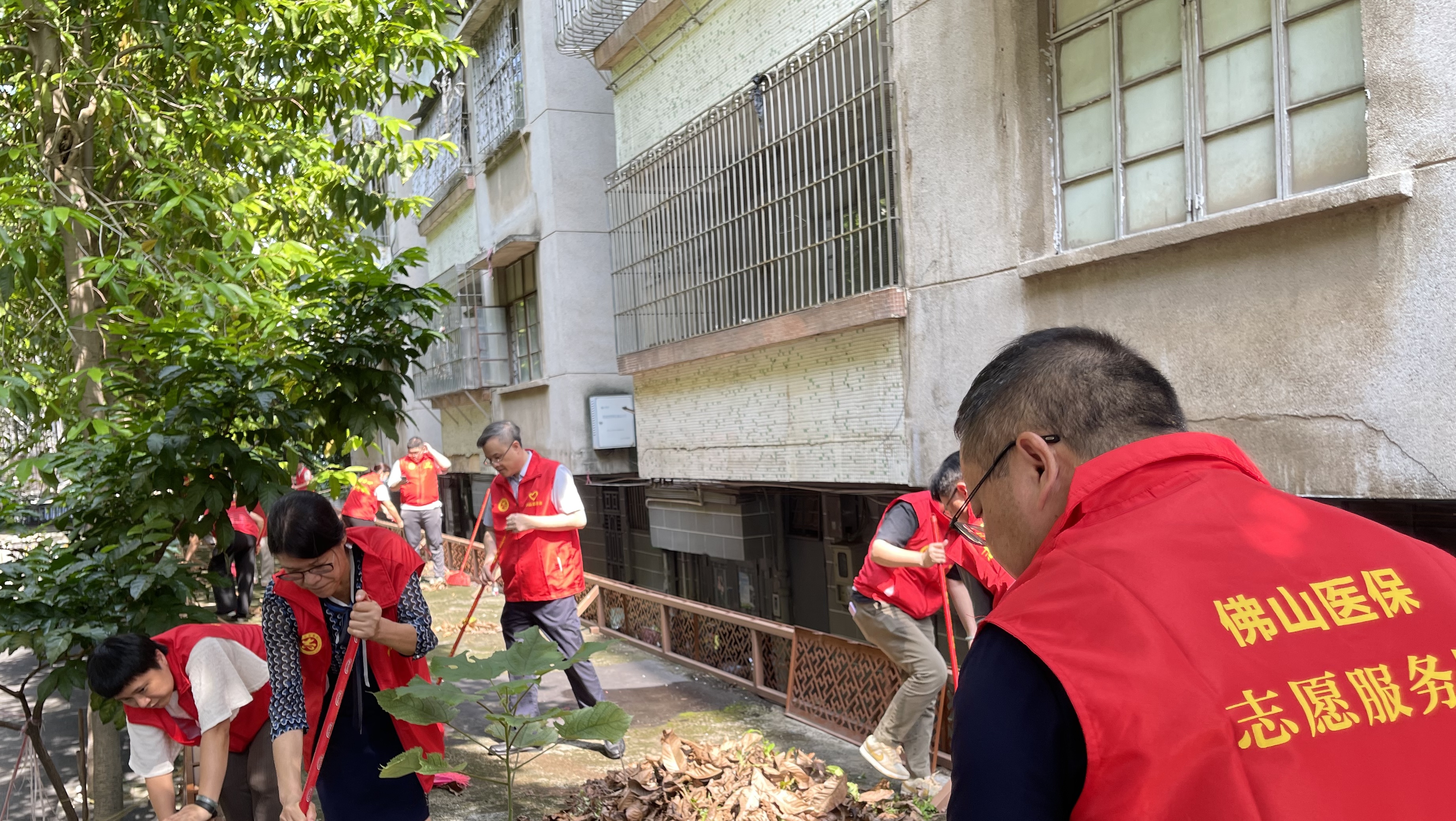 金沙娱乐城
医保局党员干部积极投身爱国卫生专项行动，全力防控蚊媒传染病！